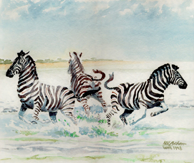 Bild Drei auseinanderstiebende Zebras am Wasserloch von Uli Aschenborn